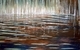 'At The Littoral I'