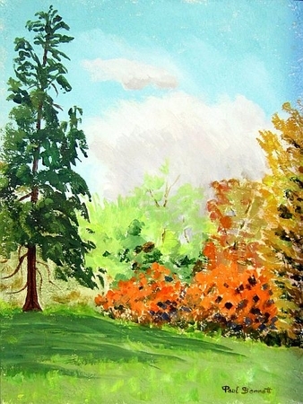 Dominion Brook Park, Fall