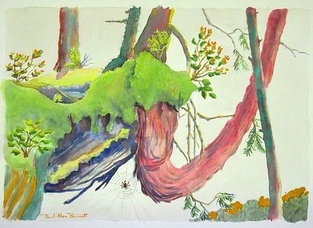 Island Idyll