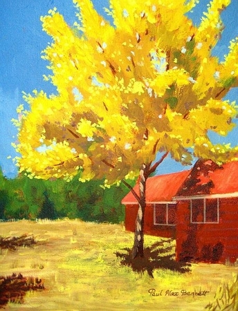 Mellow Yellow