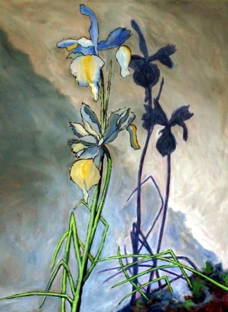 Shadow Iris