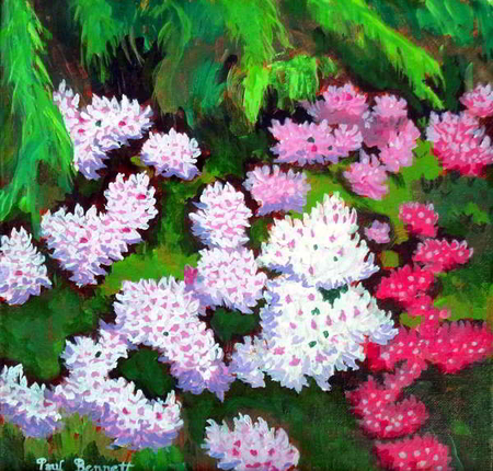 Spring Surge