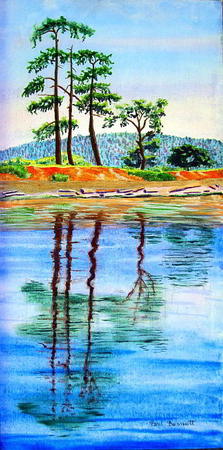 Tree Talk, Roberts Bay