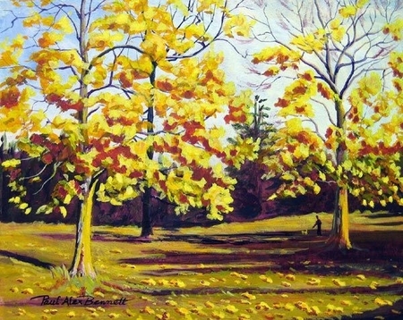 Woodland Walk I