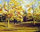 Woodland Walk I